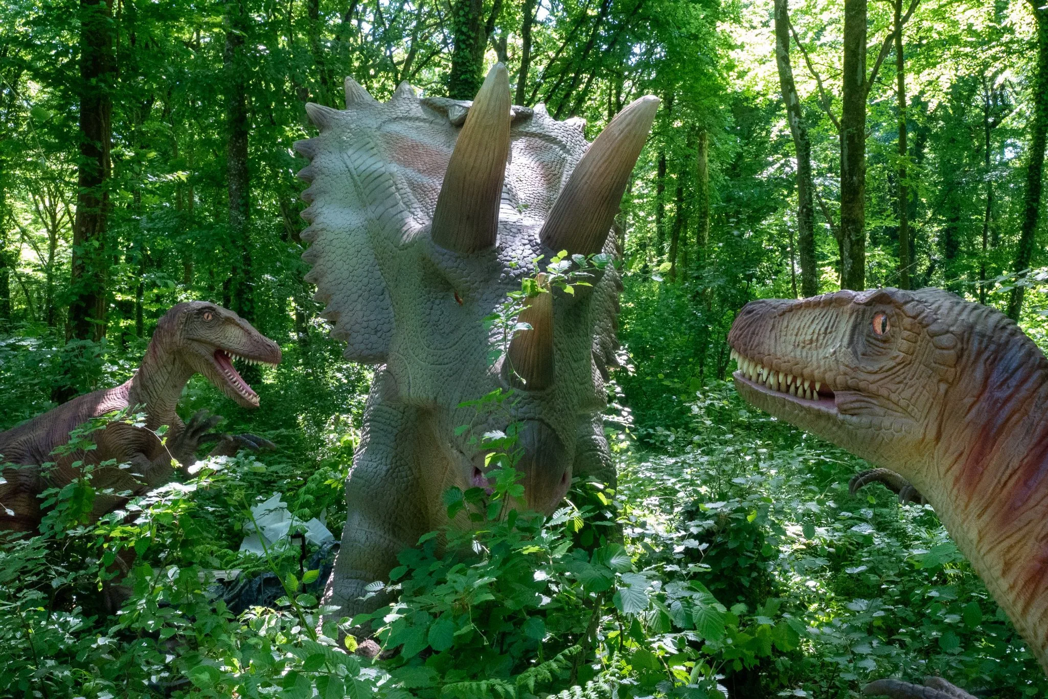 Pentaceratops 