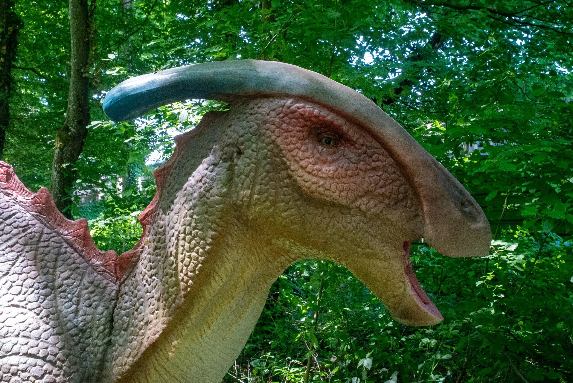 Parasaurolophus 