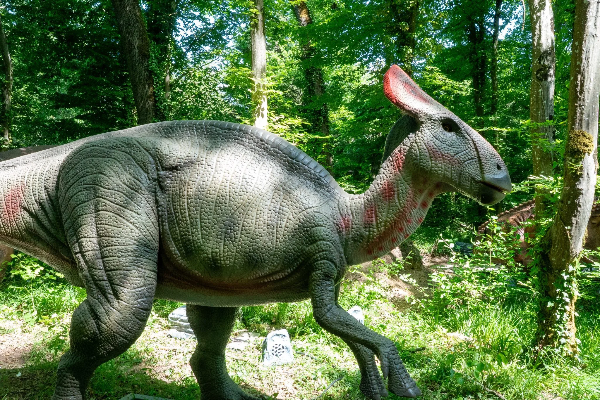 Olorotitan