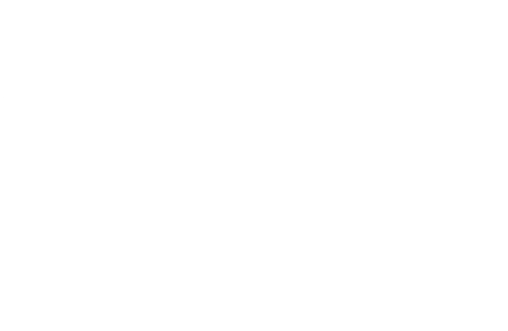 ours_brun-1000x650-1