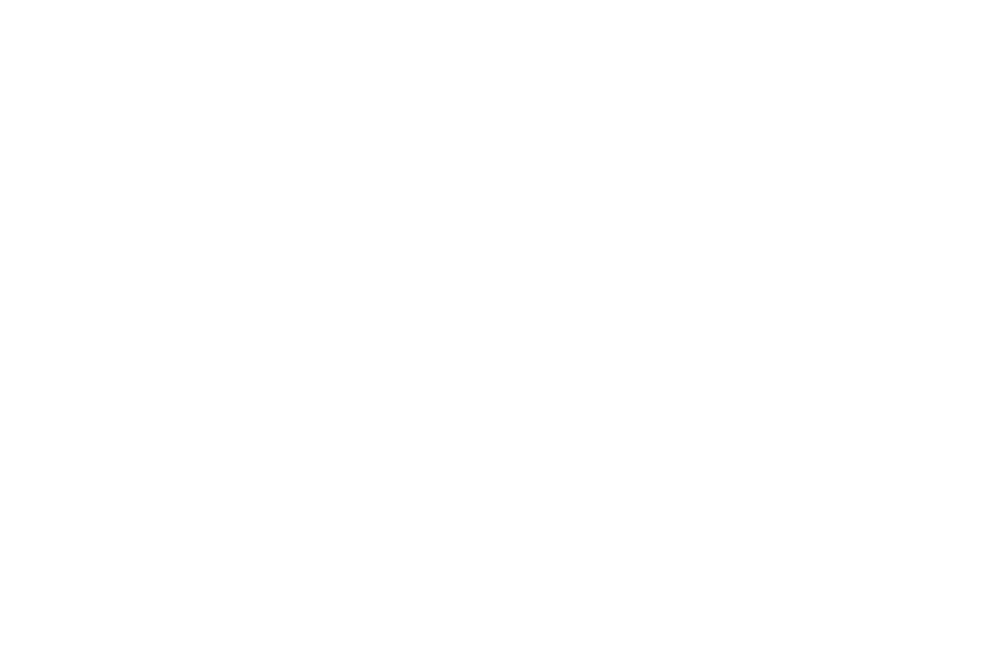 ours_polaire-1000x650-1