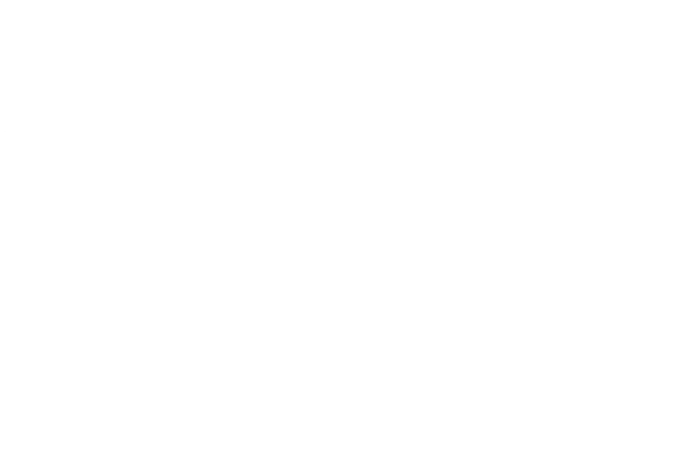 panthere_noire-1000x650-1