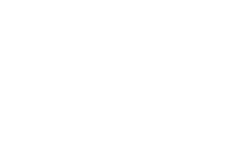 raton_laveur-1000x650-1